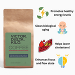Mushroom Coffee Fusion - Lion’s Mane & Chaga 4oz (113g approx) (Boost your brain and your energy!)